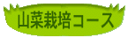 �R�؍͔|